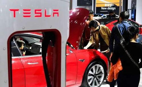 特斯拉的最新爆料视频在哪看,观看独家视频解析